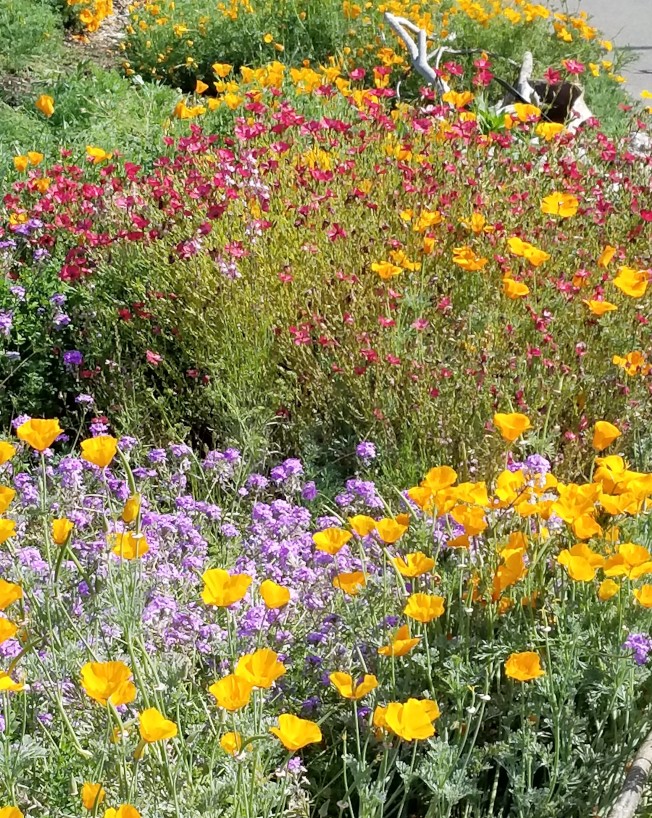 ï¼æ»æ©ï¼æå½±ï¼