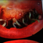 番茄裡面長芽 專家：無毒可吃