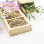 藥草養生術 | 自製接骨木糖漿 秋冬保平安