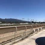 勝他跑馬場 3個月死22匹馬