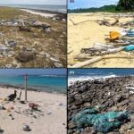 無人島一年飄進4億個垃圾、重達238噸