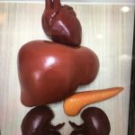 顧好肝 用個百年沒問題
