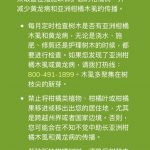 時代故事|柑橘黃龍病 中國人命名