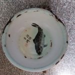 《老照片說故事》搪瓷臉盆