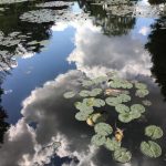 為了花而成了畫家