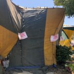 木屋保值須防蟲害 除白蟻找專家 包屋殺蟻須斷瓦斯