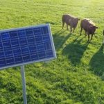 研究發現:全球1%農田設太陽能 足供全球用電