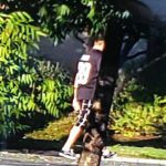 聖荷西街頭飆車2死 3肇事男逃逸
