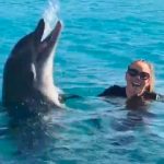 瑪麗亞凱莉海裡飆「海豚音」 海豚竟悲鳴逃走