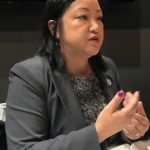 伊州眾議員馬靜儀尋求連任 盼華裔支持