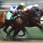 勝他跑馬場第34匹馬死 將驗屍
