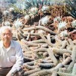 《老照片說故事》表哥心 千千結