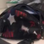 紀夢奇生還率渺茫 密州警局籲協尋藍車行蹤與皮包下落