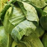 白、黃色系食物 養肺顧脾胃