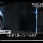 闖入北海道國小校園 棕熊遭獵人擊斃