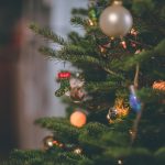 🎄真、假耶誕樹 選購有訣竅