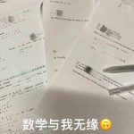 王菲女兒留學瑞士 數學「交白卷」
