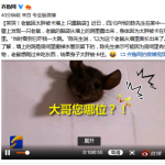 太胖惹禍/老鼠「卡」牆上 住戶好尷尬