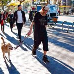 金山這10條街 最常要求清除排泄物