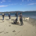 攜犬同遊北加博德加灣 啖海鮮