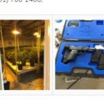 河濱縣破獲4非法大麻農場