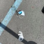 口罩、手套隨地丟 新州市鎮最高罰2000元