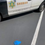 亂丟口罩洛縣開罰 專家教你處理用過的口罩