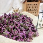 藥草養生術|居家避疫 來杯大蒜蜂蜜汁強身