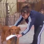 鄰居被隔離 狗郵差幫忙送食物上門