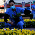 愛心花海送上「門」 護醫笑了