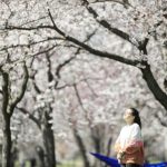 過敏傷呼吸系統 更易染疫